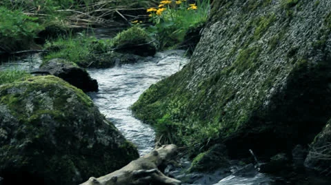 Watercourse 09 Stock Footage 23420142