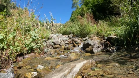 Watercourse or spring with small waterfalls in mountain forest - loop video Stock Footage 243748159