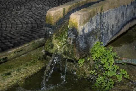 Watercourse Stock Photos