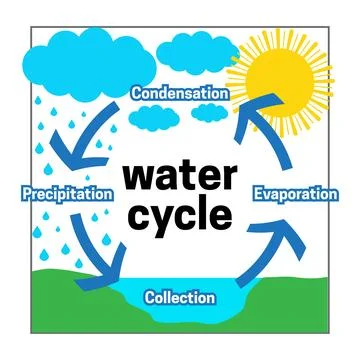 Watercycle56 Stock Illustration
