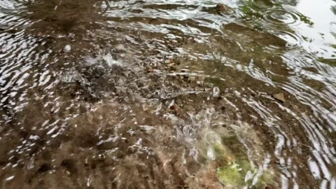 Waterdrop and with wave. Stock Footage 204011234