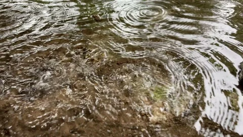Waterdrop and with wave. Stock Footage 204011236