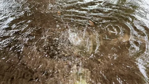 Waterdrop and with wave. Stock Footage 204011314