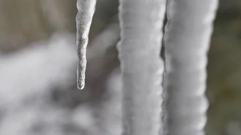 Waterdrop on icicle slowmotion Video stock 97869713