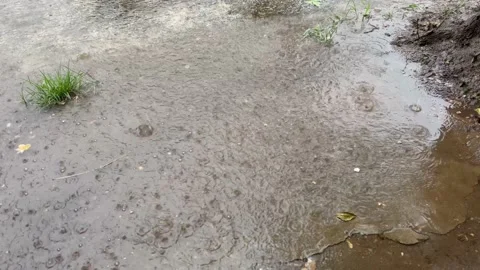 Waterdrop in raining day. Stock Footage 194244745
