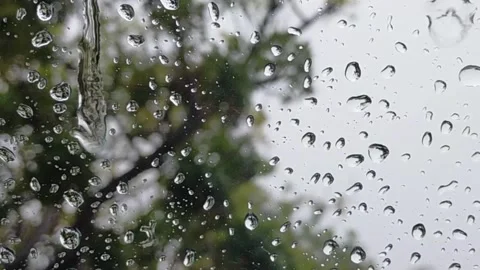 WaterDrop With Tree As A Background Stock Footage 158697416