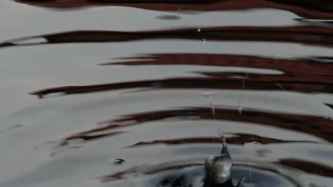 Waterdrops Abstract Stock Footage 153634869