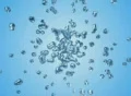 Waterdrops Footage
