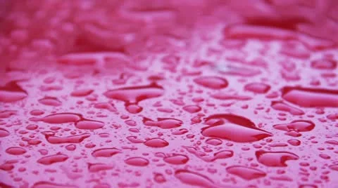 Waterdrops Stock Footage 11015561