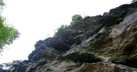 Waterdrops on the forest rocks. Stock-Footage 91781060