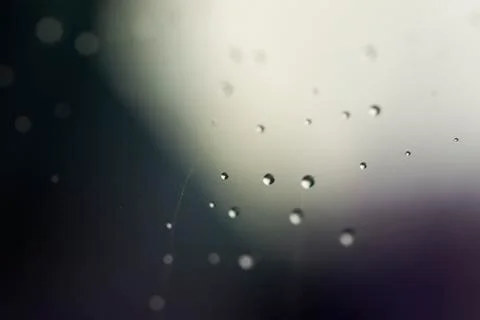 Waterdrops on net Stock Photos