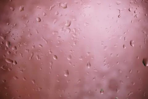 Waterdrops from raindrops Stock Photos