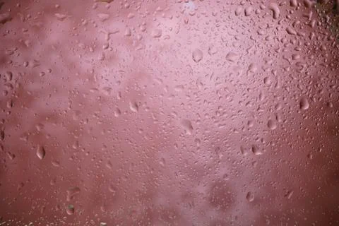 Waterdrops from raindrops Stock Photos