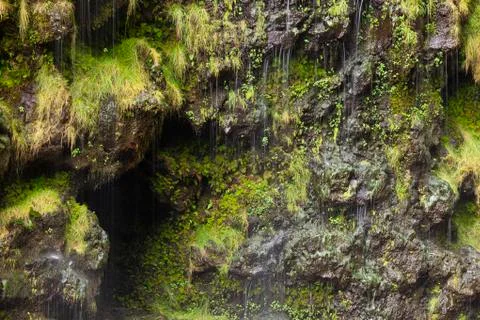 Waterdrops running down the steep walls at the Waimoku Falls in Maui, Hawaii. Stock Photos