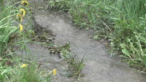 Watered path in the garden 4K Stock Footage 90684696