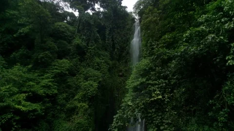 Waterfal Nature Video stock 221174940