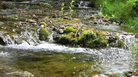 Waterfall 01.MOV Stock Footage 514276
