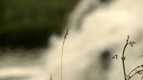 Waterfall 1 Видео 505203
