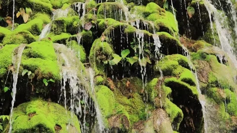 Waterfall  (1) Stock Footage 307761572