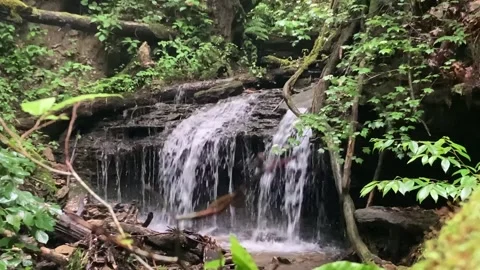 Waterfall #1 Stock Footage 310859176