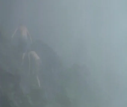 Waterfall 10 Vídeo Stock 356957