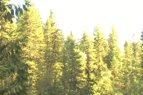 Waterfall 12 Stock Footage 356755