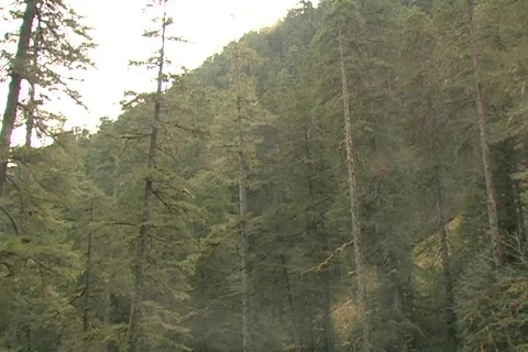 Waterfall 16 Vídeo Stock 356780