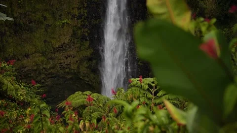 Waterfall 17 Stock Footage 155494701