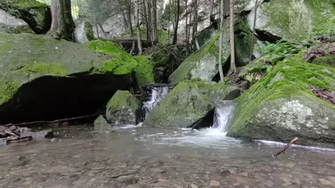 Waterfall #17 Stock Footage 311024915