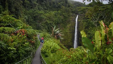 Waterfall 18 Stock Footage 155494713