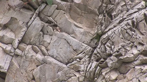 Waterfall 19 Stock Footage 8654561