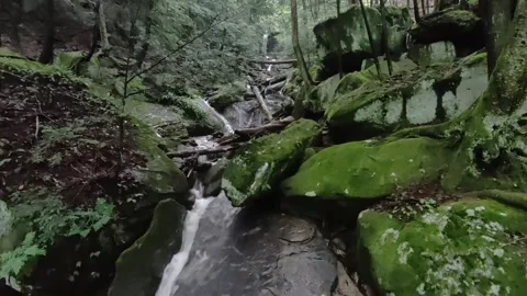 Waterfall #2 Stock Footage 310966814