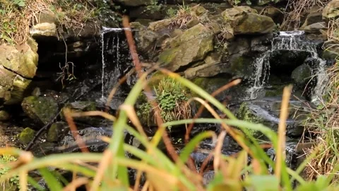 Waterfall 2 RAW Stock Footage 237261125