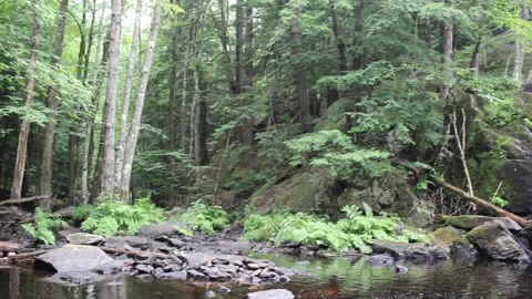 Waterfall 3 Stock Footage 152738449