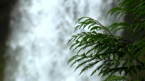 Waterfall 3 Stock Footage 249837903