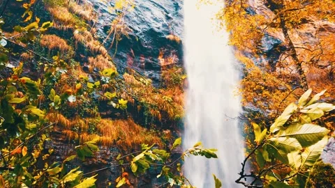 Waterfall 3 Stockbeeldmateriaal 254778943