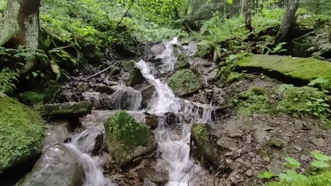 Waterfall #3 Stock Footage 310967002