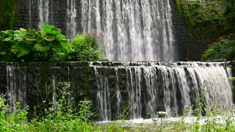 Waterfall 4 Video stock 81695365