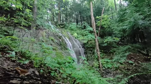 Waterfall #4 Stock Footage 310972259