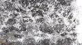 Waterfall 480fps 16 Slow Motion x16 Vertical HD Footage