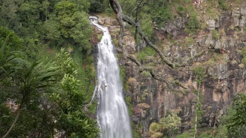 Waterfall 4K Vídeos de archivo 78807130