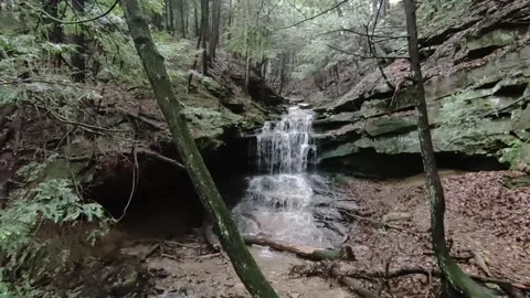 Waterfall #6 Stock Footage 310972254