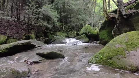 Waterfall #7 Stock Footage 310972801