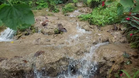 Waterfall (9) Video stock 280404072