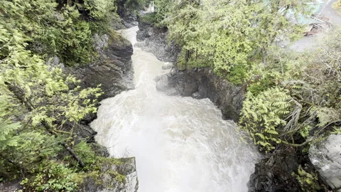 Waterfall from above Stock Footage 256901660