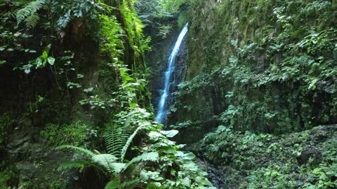 Waterfall aerial view Stock Footage 240782389