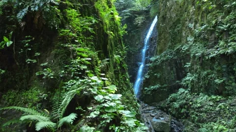 Waterfall aerial view Stock Footage 240782659