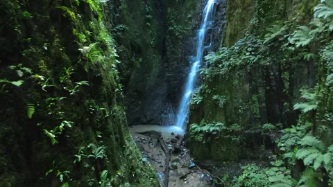 Waterfall aerial view Stock Footage 240783895
