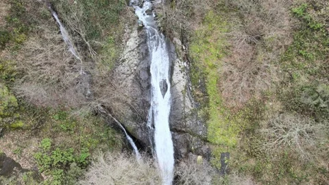 Waterfall aerial view Stock Footage 263710412