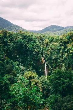 Waterfall from afar in rainforest Stock-Fotos